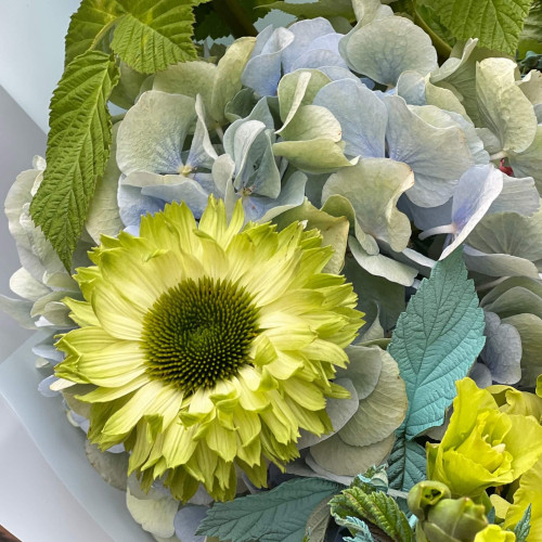 Цікавий букет із тропічним настроєм «Індійський танець»