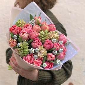 Гіацинт-тюльпан-мускарі «Весняна мелодія»