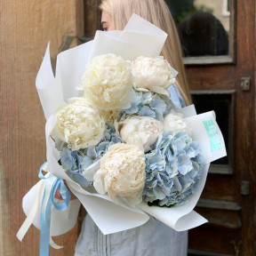 Гортензія-Піон «Захмарна любов»