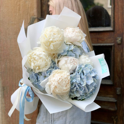 Гортензія-Піон «Захмарна любов»