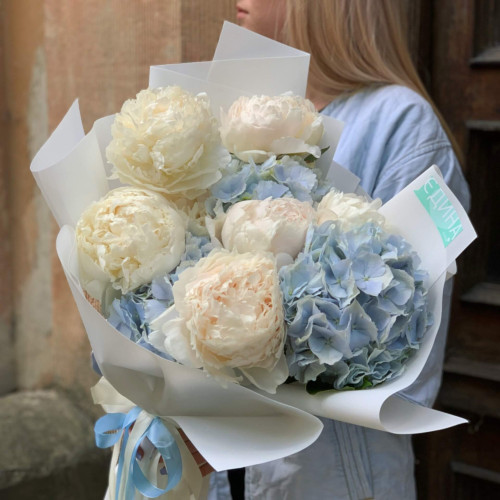 Гортензія-Піон «Захмарна любов»