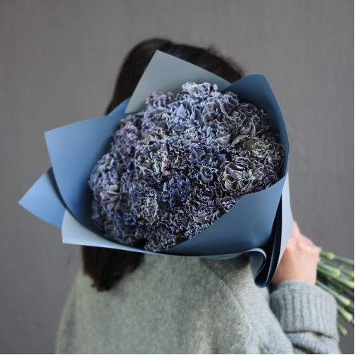 Диантус Black Molly