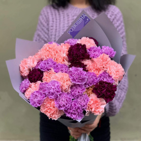 Микс из 39 цветных диантусов