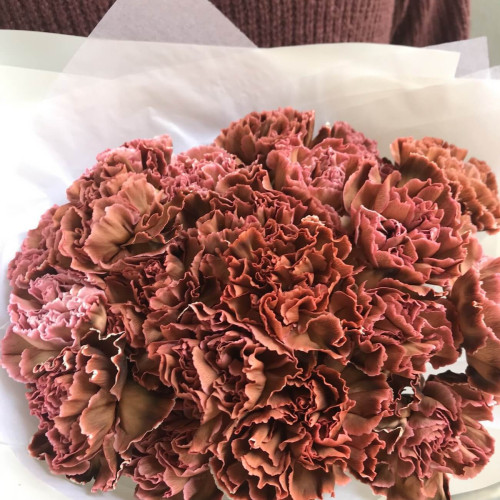 Діантус Brownies