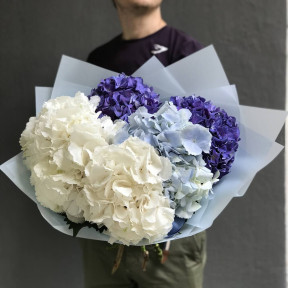 Прохладный микс гортензий - 5 шт.