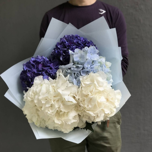 Прохладный микс гортензий - 5 шт.