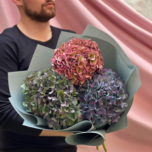 3 hydrangeas in a bouquet «Autumn drawing»