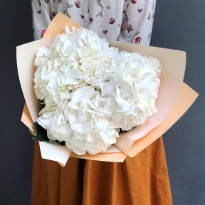 3 белые гортензии