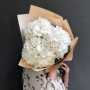 3 white hydrangeas