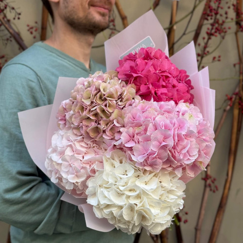 5 delicate hydrangeas in a bouquet «Pink Ombre»