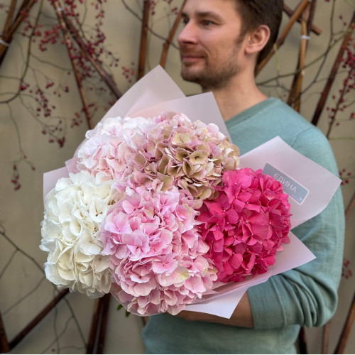5 delicate hydrangeas in a bouquet «Pink Ombre»