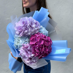 Мікс з 5 гортензій «Небесні кольори»