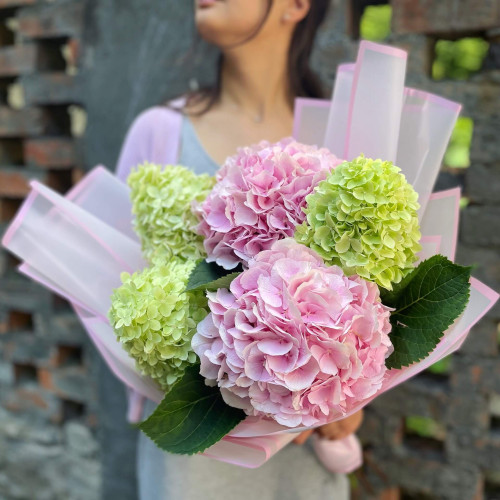 Мікс з 5 гортензій «Романтичний привіт»