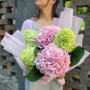 Мікс з 5 гортензій «Романтичний привіт»