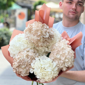 7 гортензий в букете «Пастельное облачко»