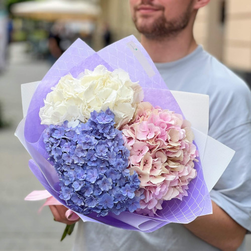 3 гортензии в букете «Нежная гортензия»