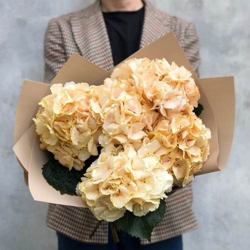 5 персикових гортензій