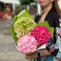 Bright hydrangeas in a bouquet «Watermelon Freshness»