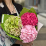 Bright hydrangeas in a bouquet «Watermelon Freshness»
