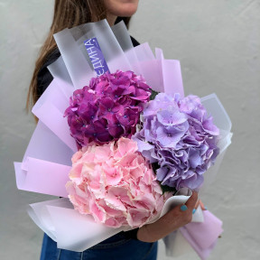 Мікс з 3 гортензій «Романтика»