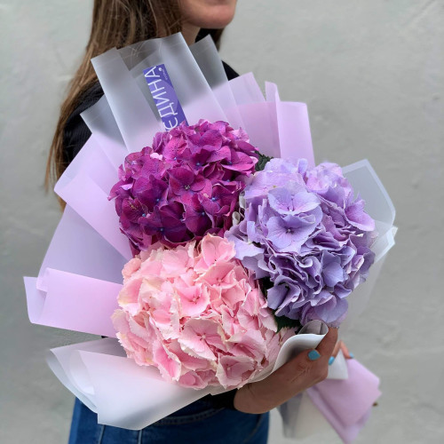 Микс из 3 гортензий «Романтика»