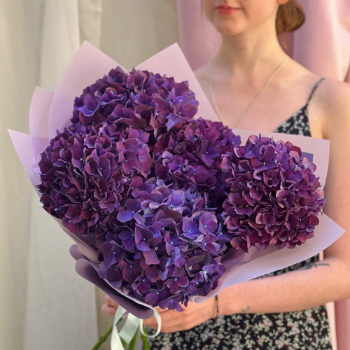 5 гортензій у букеті «Чарівний аметист»