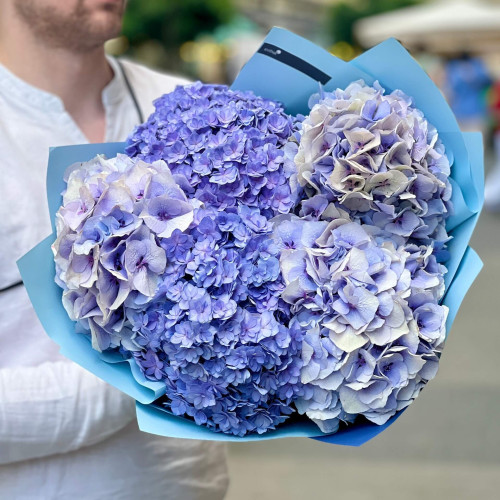 5 гортензій у букеті «Небесна блакить»