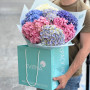 7 різнобарвних гортензій у букеті «Львівський світанок»