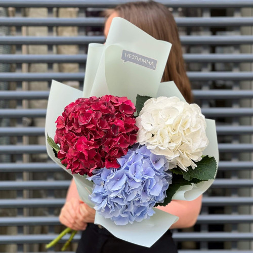 Трио ярких гортензий