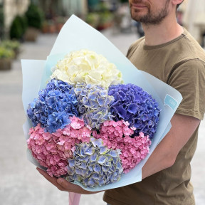 7 різнобарвних гортензій у букеті «Львівський світанок»