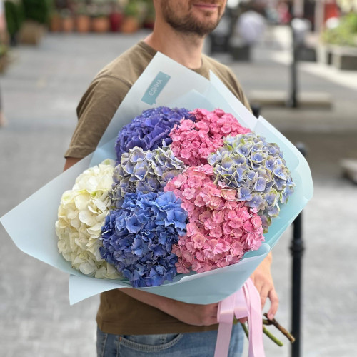 7 різнобарвних гортензій у букеті «Львівський світанок»