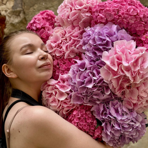 17 гортензій у букеті «Солоденькі мрії»