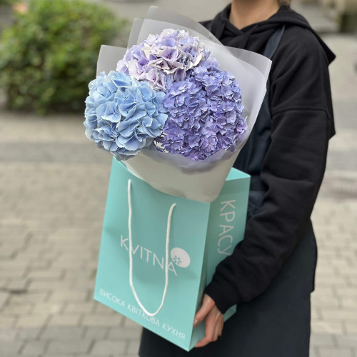 3 гортензії у букеті «Синій небокрай»