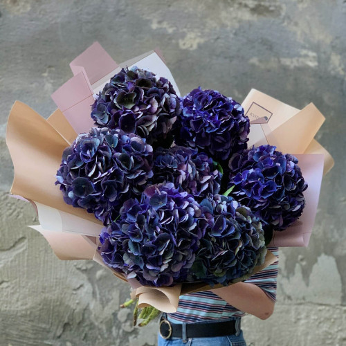 7 гортензій «Royal King»