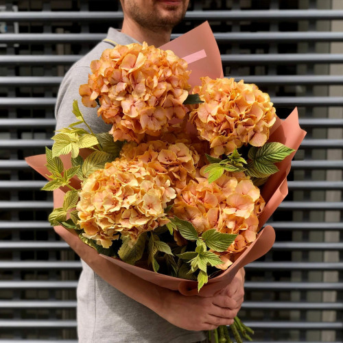 5 hydrangeas in a bouquet «Royal mango»