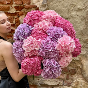 17 гортензій у букеті «Солоденькі мрії»