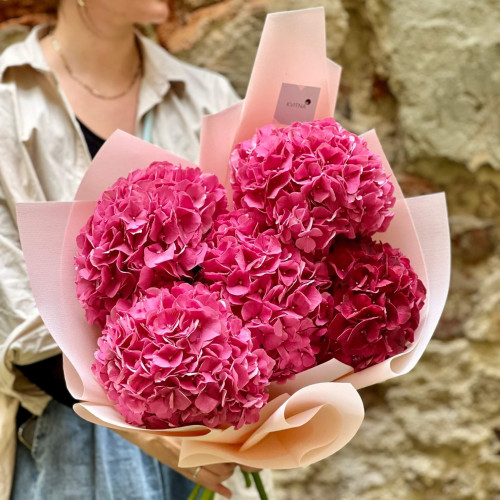 Яскравий букет із 5 гортензій «Малинка»