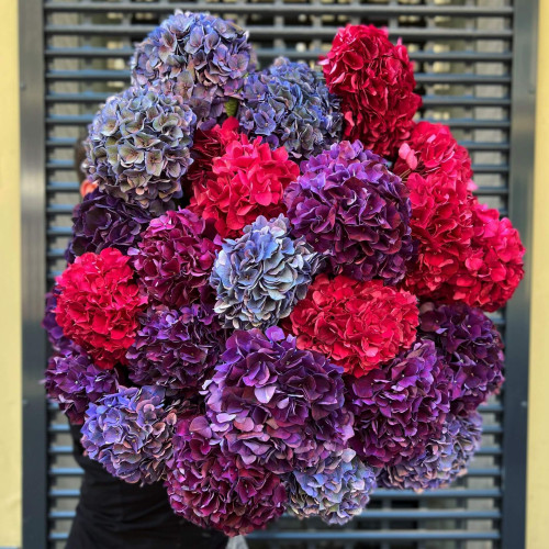 41 гортензия в букете «Атлантический полет»