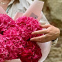 Яскравий букет із 5 гортензій «Малинка»