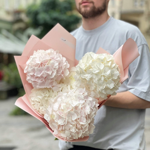 5 гортензий в букете «Нежненький»
