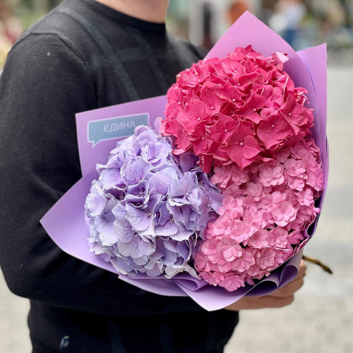 Bouquet of hydrangeas «Sweet berry»