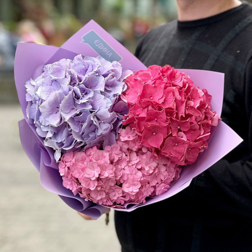 Bouquet of hydrangeas «Sweet berry»