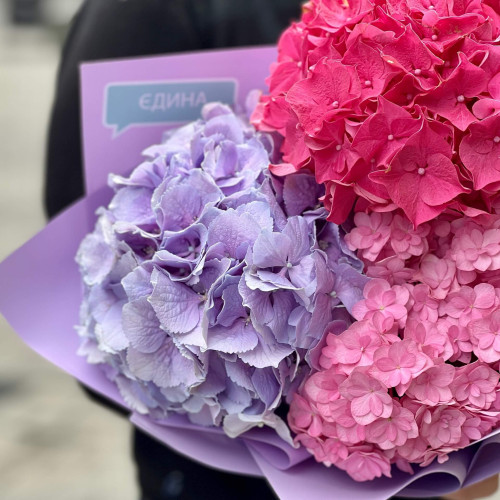 Bouquet of hydrangeas «Sweet berry»