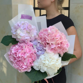 Мікс з 5 гортензій «Відтінки неба»