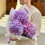 Букет із 3 бузкових гортензій «Лавандовий день»
