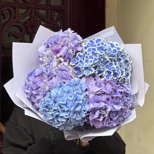 5 роскошных гортензий в букете «Лавандовое безе»