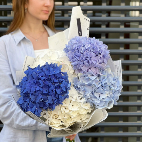 5 гортензий в букете «Безоблачное небо»