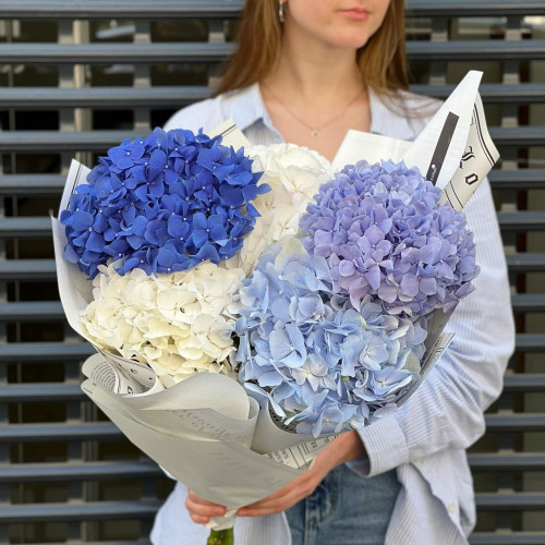 5 гортензий в букете «Безоблачное небо»