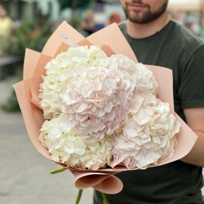 5 гортензий в букете «Пастельная акварель»