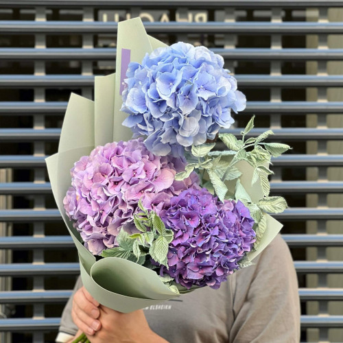 3 гортензии в букете «Ментоловое дыхание»